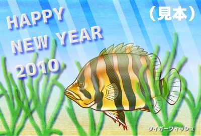 タイガーフィッシュ年賀状ヨコ(見本) | タイガーフィッシュ