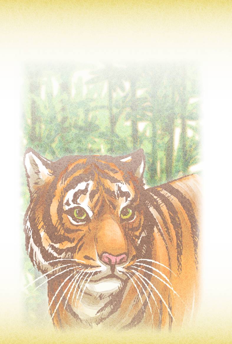 リアルな虎イラスト年賀状背景素材(縦) | リアルなトラ