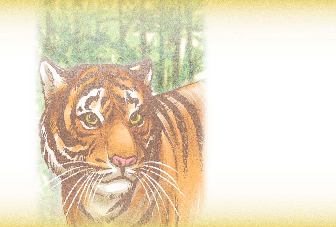 リアルな虎イラスト年賀状背景素材(横) | リアルなトラ