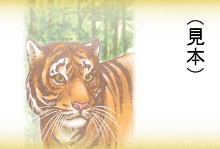 リアルな虎イラスト年賀状背景素材(横)(見本) | リアルなトラ