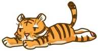 タイガーさんイラスト素材07 サムネ