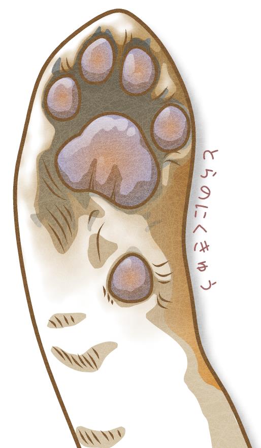 虎の肉球イラスト素材 | シンプルなトラ