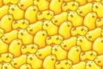 ヒヨコみっちり背景素材・ヨコ サムネイル