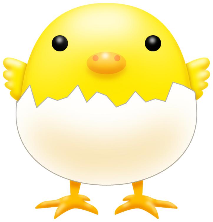 殻付きヒヨコのイラスト素材